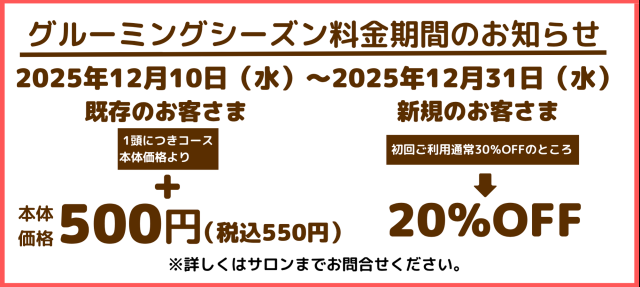 プールイベント　幕張新都心